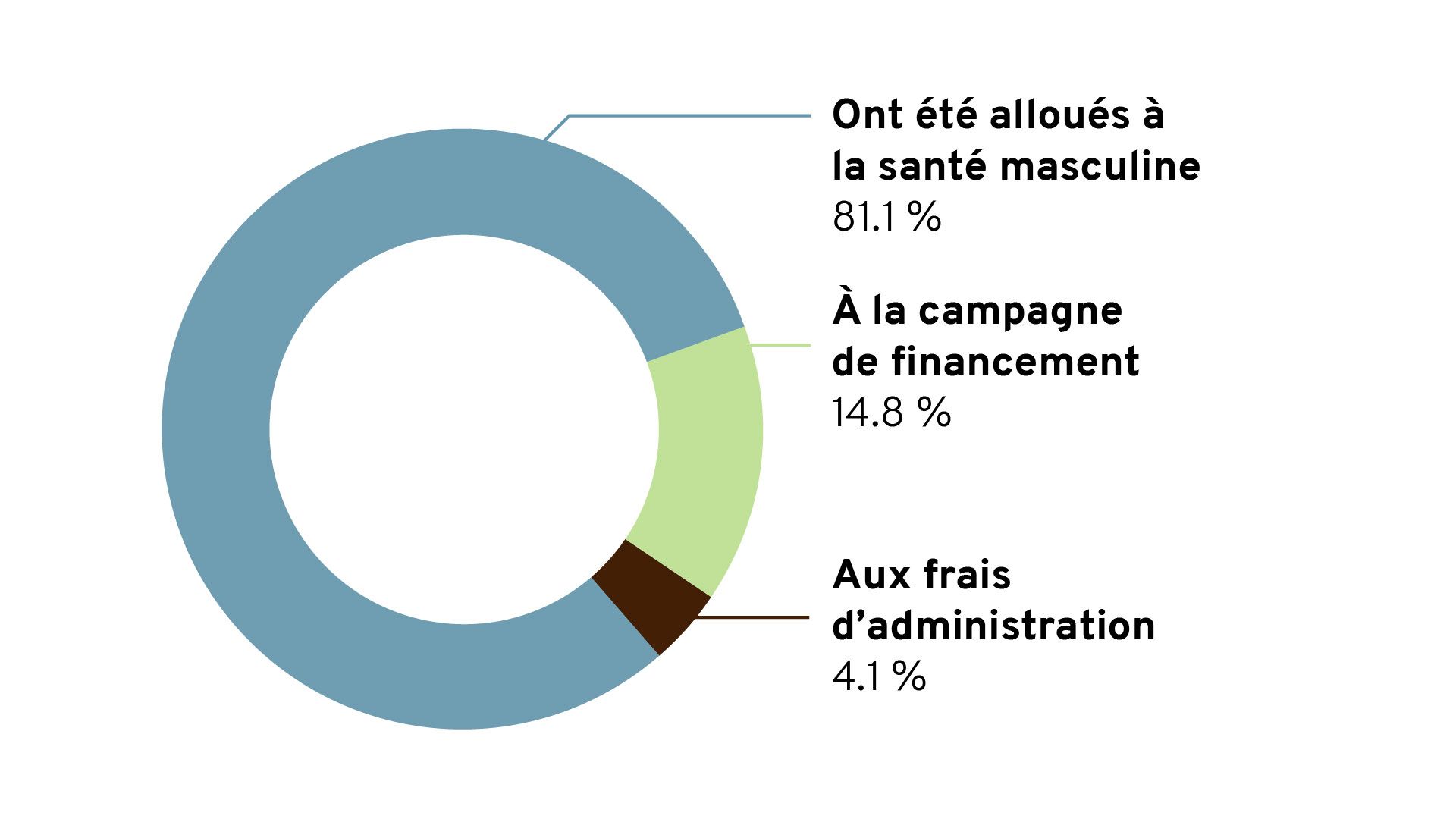 Pie chart showing Movember's financial information