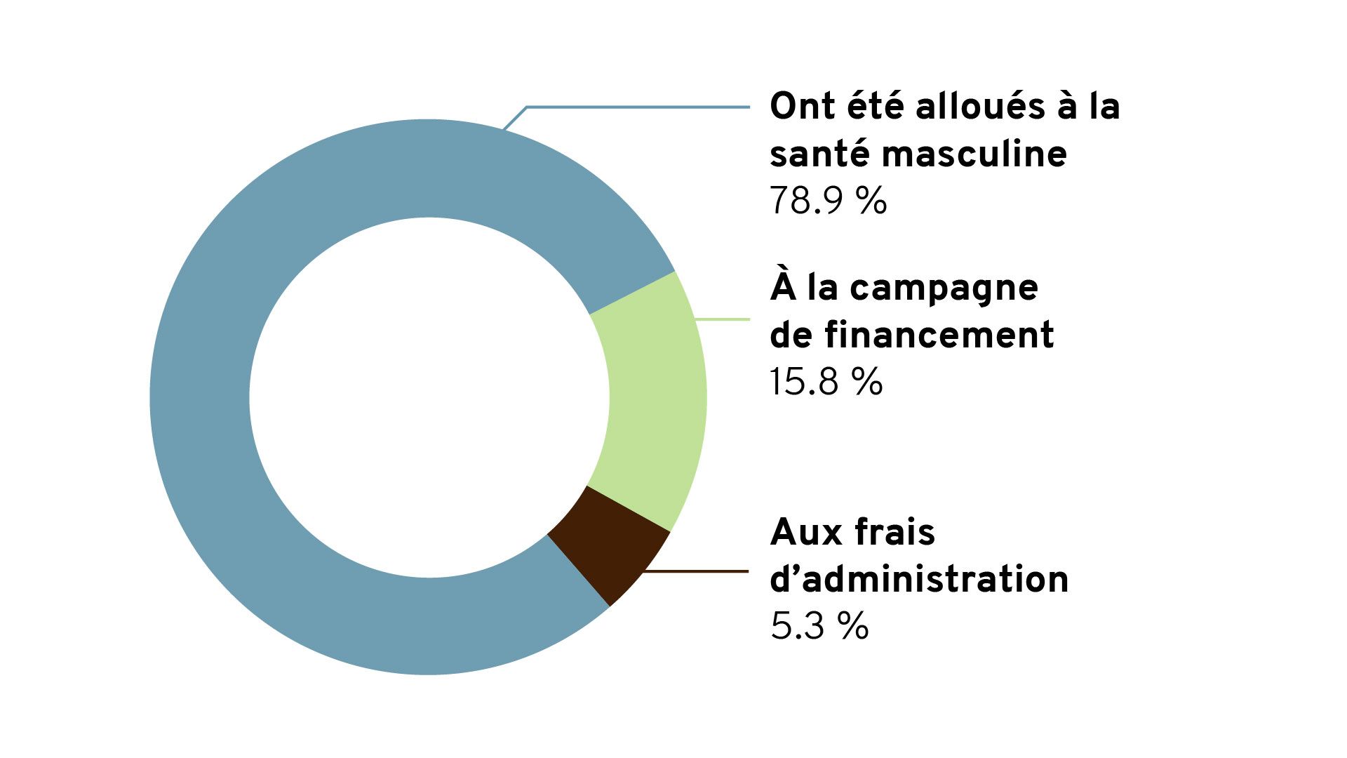 Pie chart showing Movember's financial information.